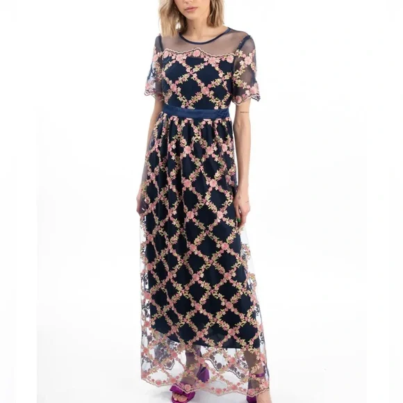 Raoul Dresses | Raoul Mesh Maxi Dress Size M | Color: Blue/Pink | Size: M | Nanaanima's Closet